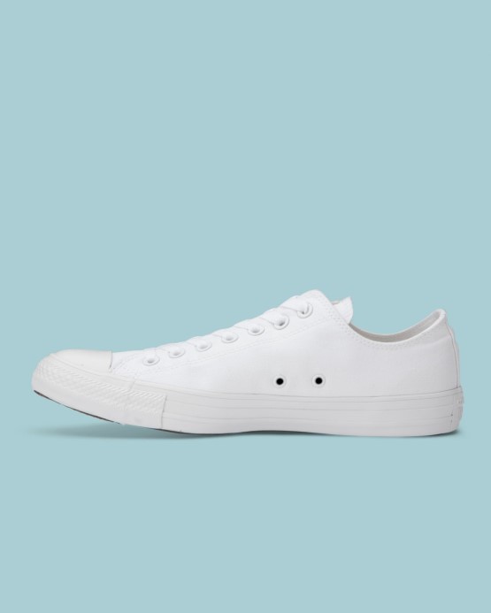 Biele Mono Skľučovadlo Taylor All Star Klasická Farba Low Top Converse