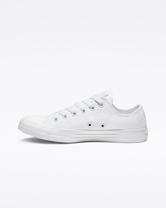 Biele Monochromatické Skľučovadlo Taylor All Star Classic Converse