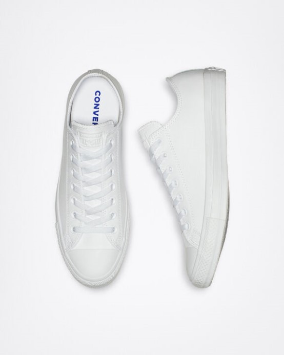 Converse Mono Biele Skľučovadlo Taylor All Star Koža