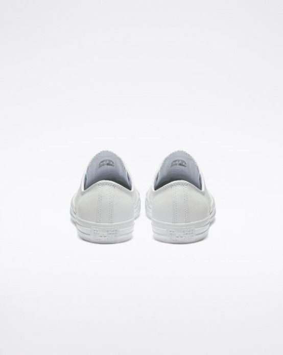 Converse Mono Biele Skľučovadlo Taylor All Star Koža