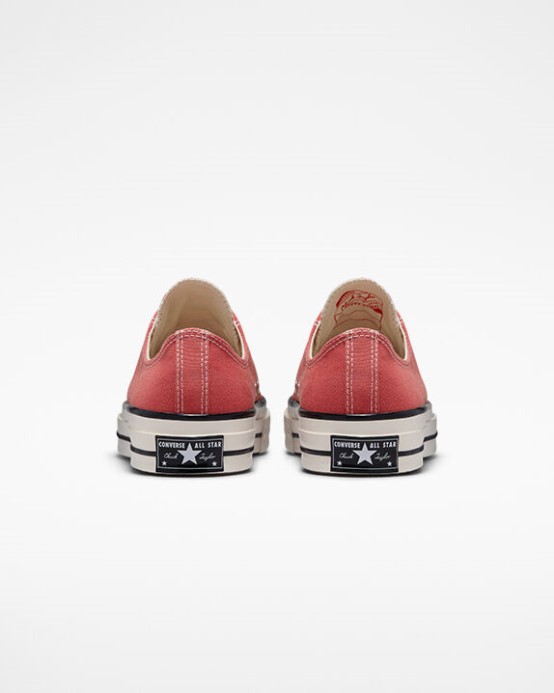 Skľučovadlo 70 Vintage Canvas Converse Rebarborový Koláč/egret/black