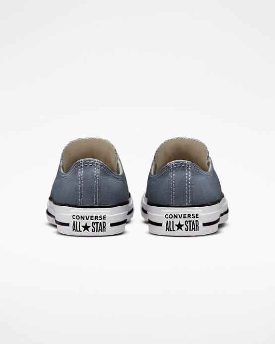 Lunar Grey Chuck Taylor All Star Sezónna Farba Converse