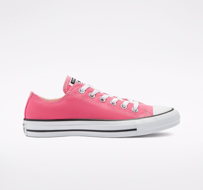 Hyper Ružové Skľučovadlo Taylor All Star Classic Converse