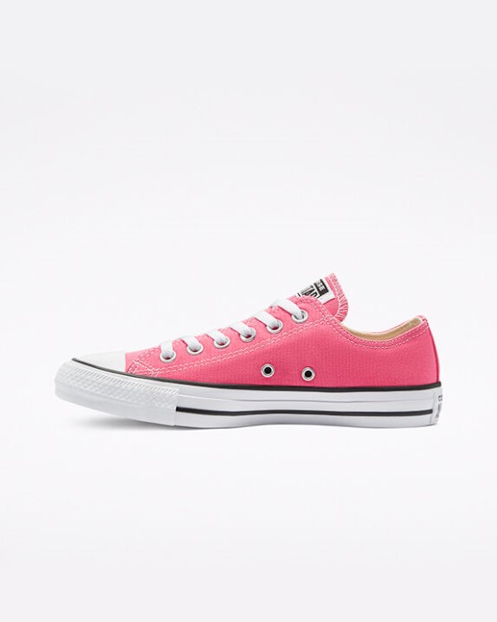 Hyper Ružové Skľučovadlo Taylor All Star Classic Converse