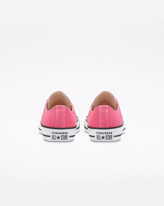 Hyper Ružové Skľučovadlo Taylor All Star Classic Converse