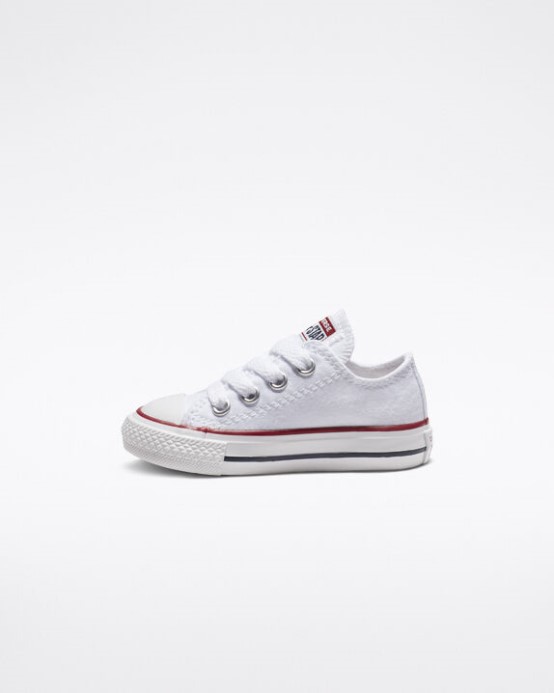 Converse Skľučovadlo Taylor All Star Klasické Optické Biele